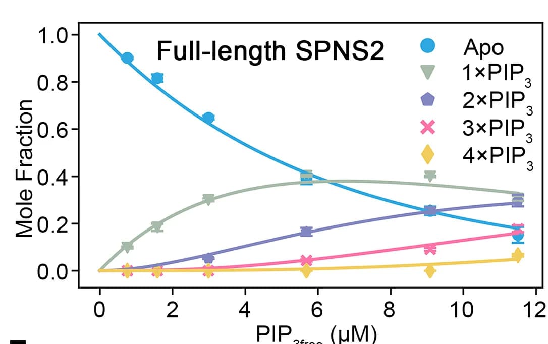 Open access visualization of Line Plot, Scatter Plot, Error Bars, PIP3, Full-length SPNS2