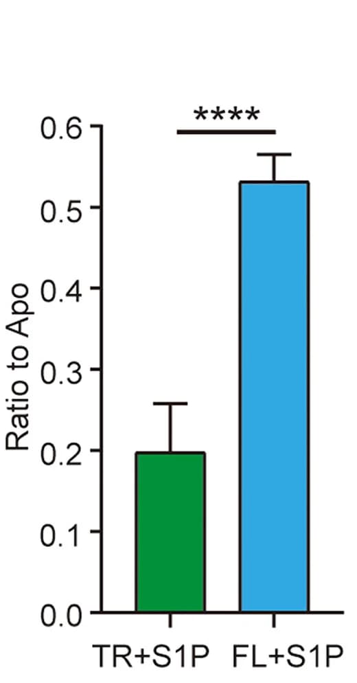 Open access visualization of Bar Plot, Error Bars, S1P, SPNS2, Affinity