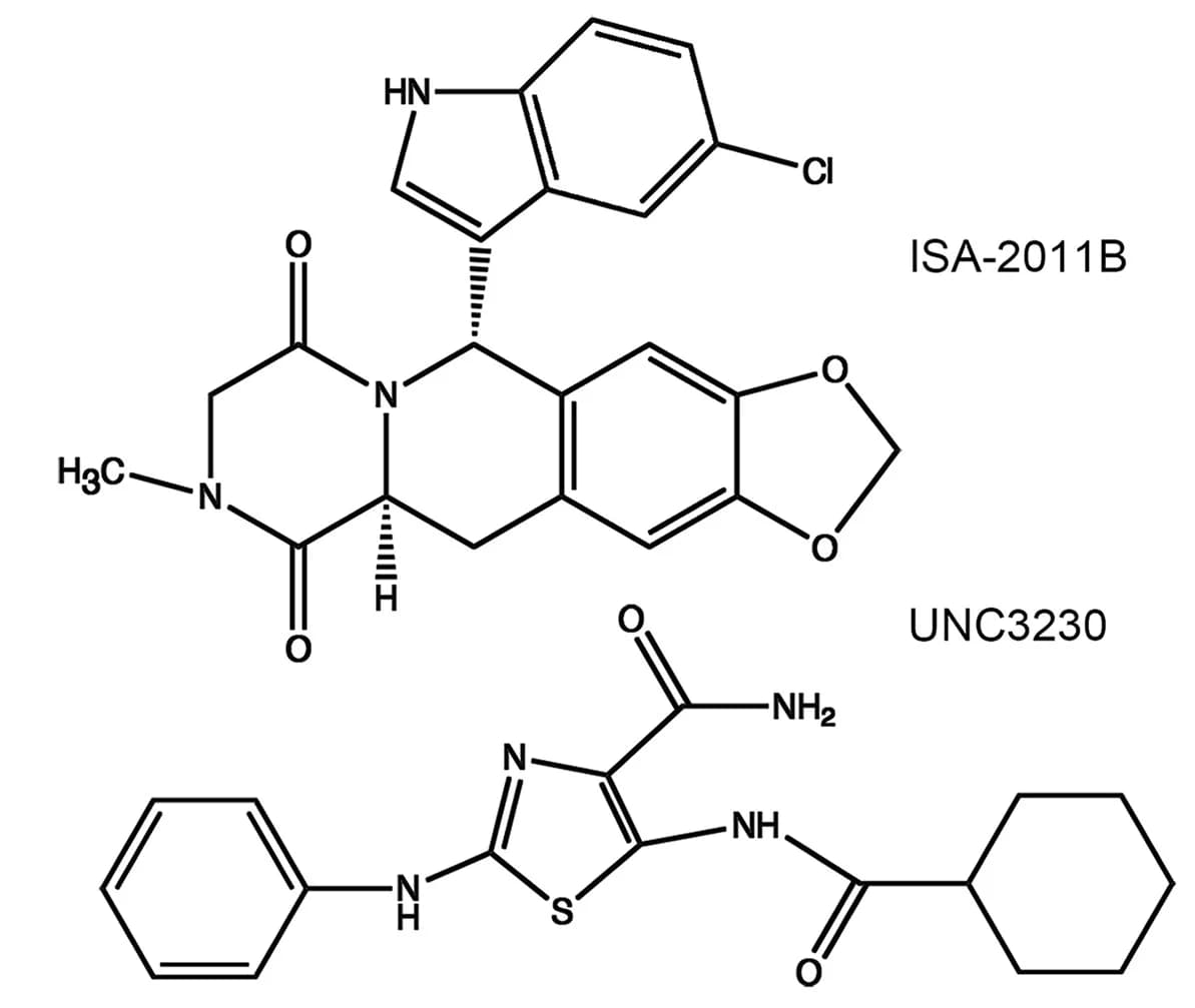 Open access visualization of Chemical Structure, PIP5K Inhibitors, ISA-2011B, UNC3230, Cell-Based Transport Assay