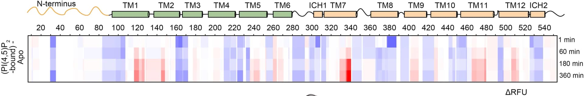 Open access visualization of Heatmap, PI(4,5)P2-bound SPNS2, Time