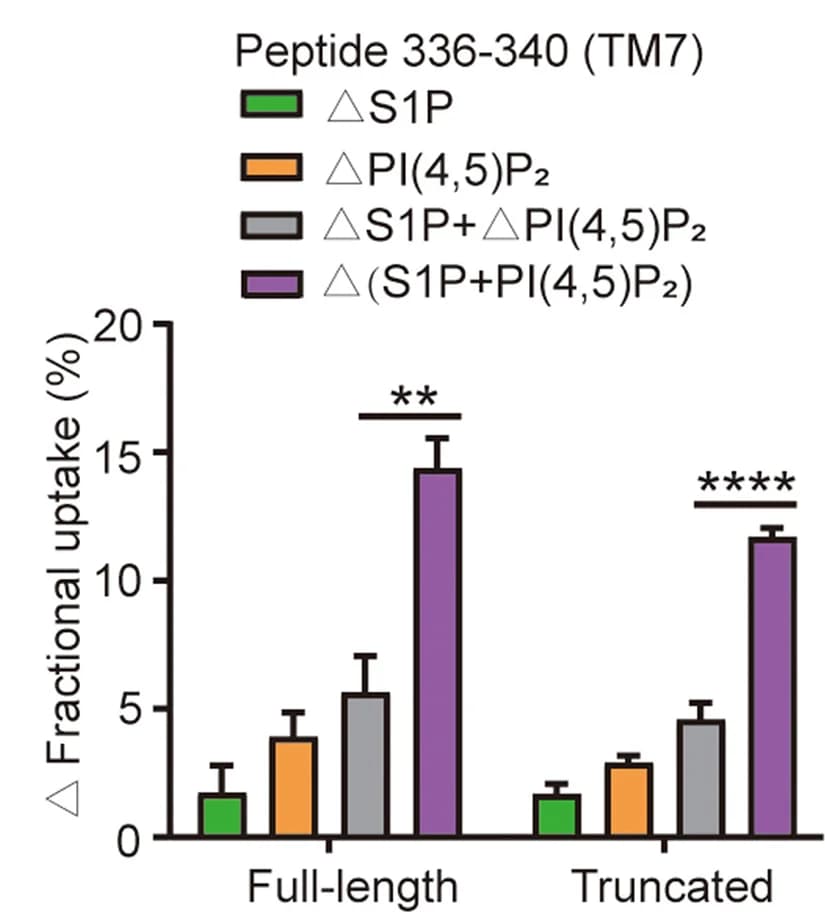 Open access visualization of Bar Plot, Error Bars, Clustered, Deuterium Uptake, Peptide 336-340