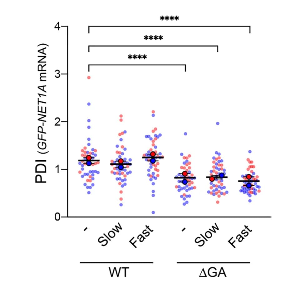 Open access visualization of Scatter Plot, Error Bars, PDI values, GFP-NET1A mRNA, Stable cell lines