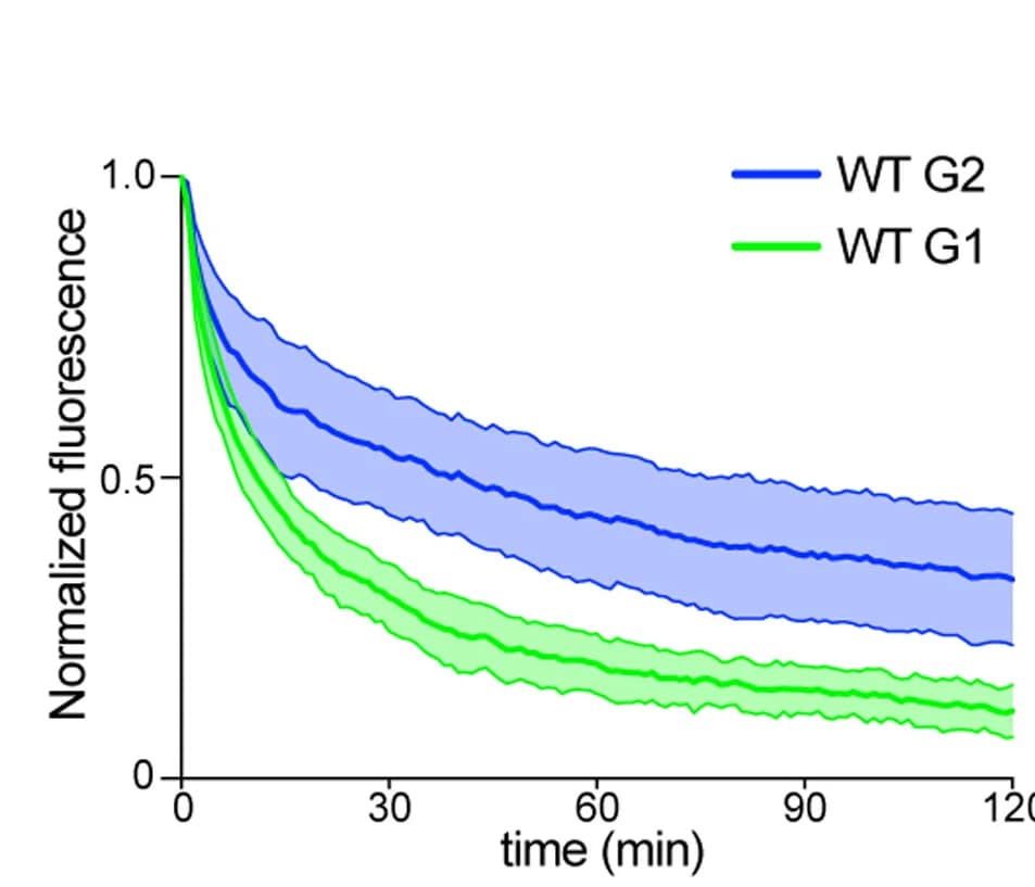 Open access visualization of Line Plot, Error Bars, Normalized recovery kinetics, SCC1-HaloTMR signals, Photobleaching