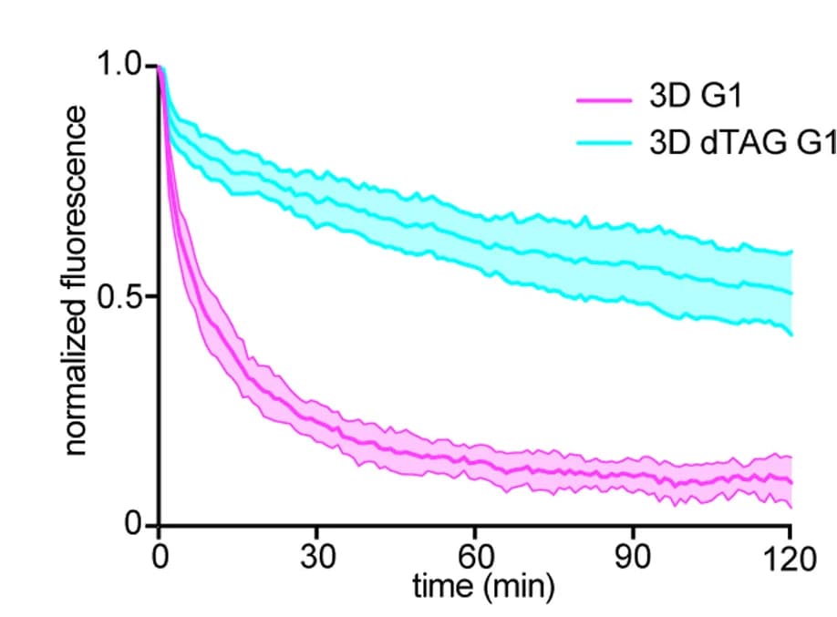 Open access visualization of Line Plot, Error Bars, Recovery Kinetics, Photobleaching, SCC1-HaloTMR