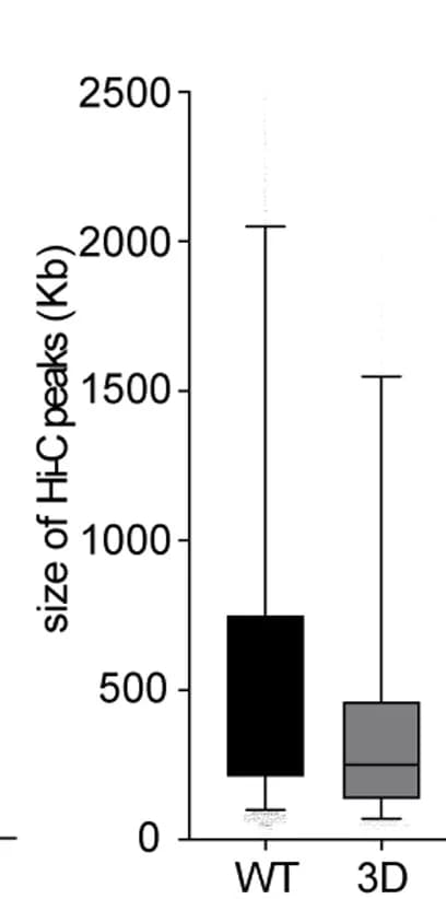 Open access visualization of Box Plot, Hi-C Peaks, Quantification