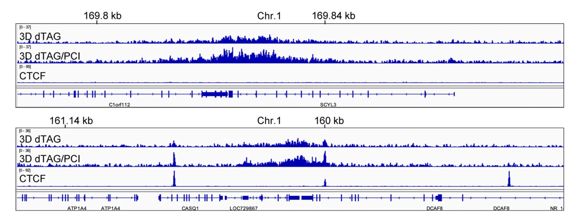 Open access visualization of Line Plot, ChIP-seq, SMC13D, FLAG Antibodies, WAPL-depleted