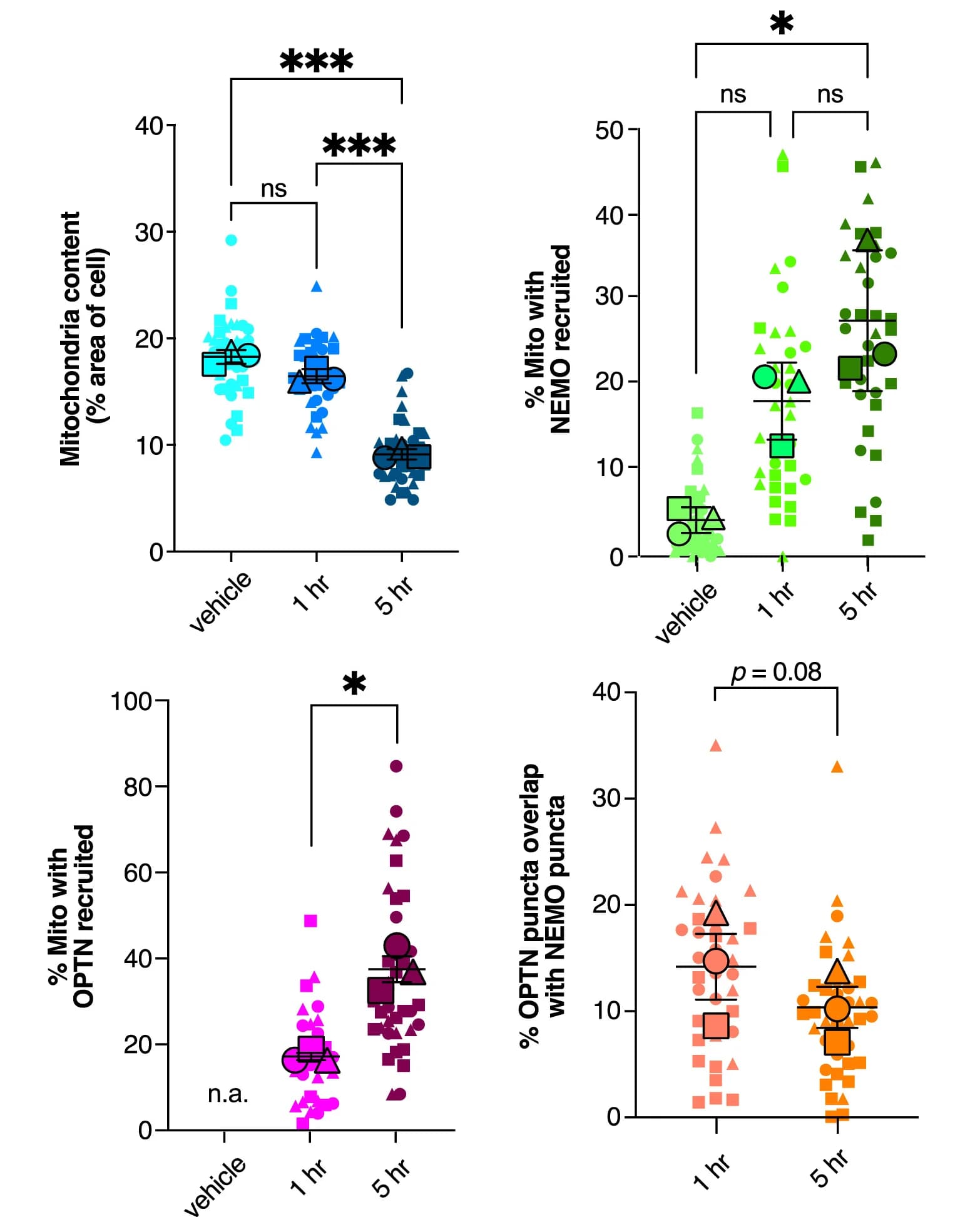 Open access visualization of Scatter Plot, Error Bars, Mitochondrial Content, Cell Area, NEMO