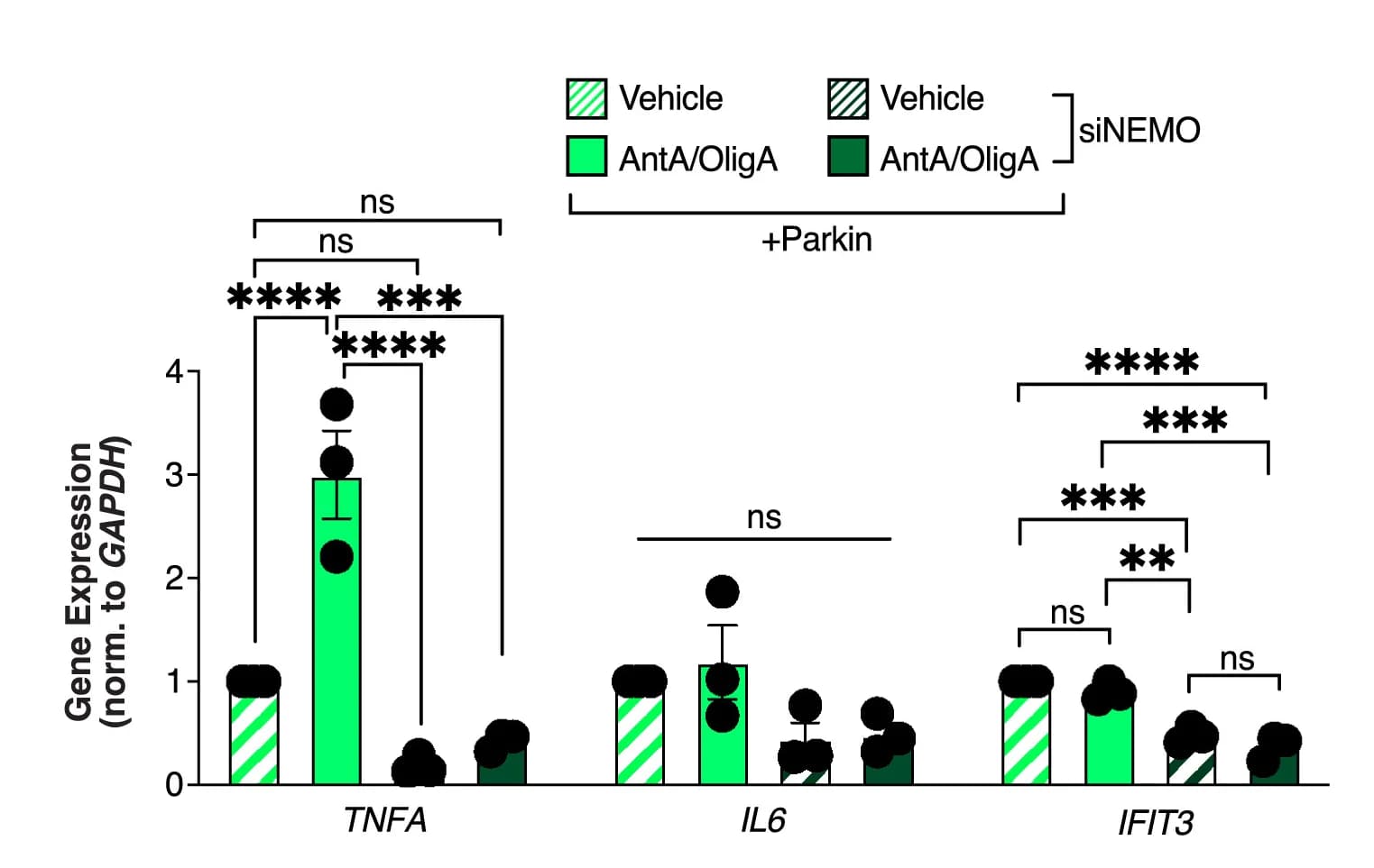 Open access visualization of Bar Plot, Error Bars, Real-time qPCR, HeLa Cells, Parkin