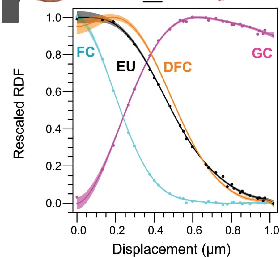 Open access visualization of Line Plot, rRNA, DFC, RDF