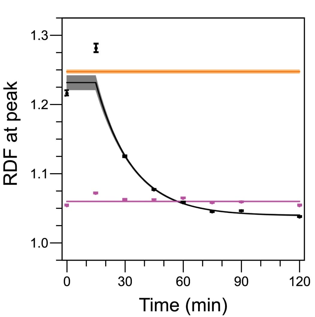 Open access visualization of Line Plot, Error Bars, RDF, NPM1, Fibrillarin