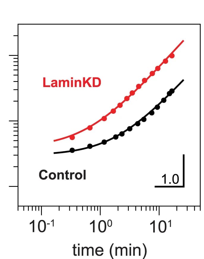 Open access visualization of Line Plot, Scatter Plot, MSD, FC Dynamics, Control Cells