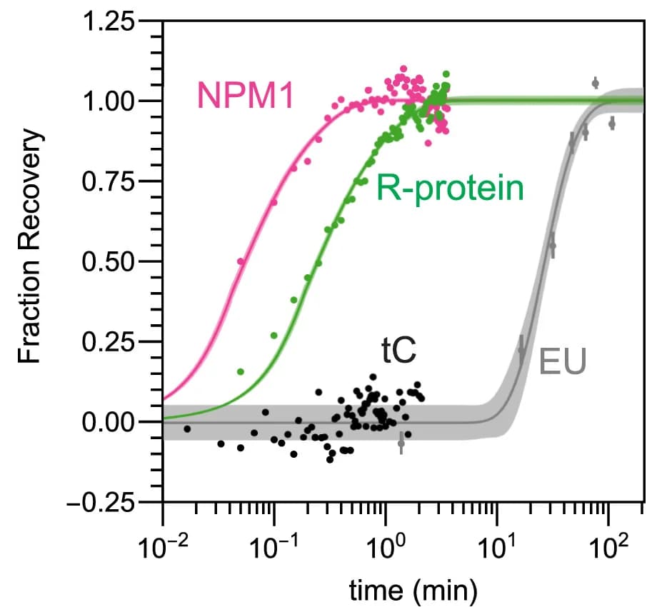 Open access visualization of Line Plot, Scatter Plot, Error Bars, NPM1, R-proteins