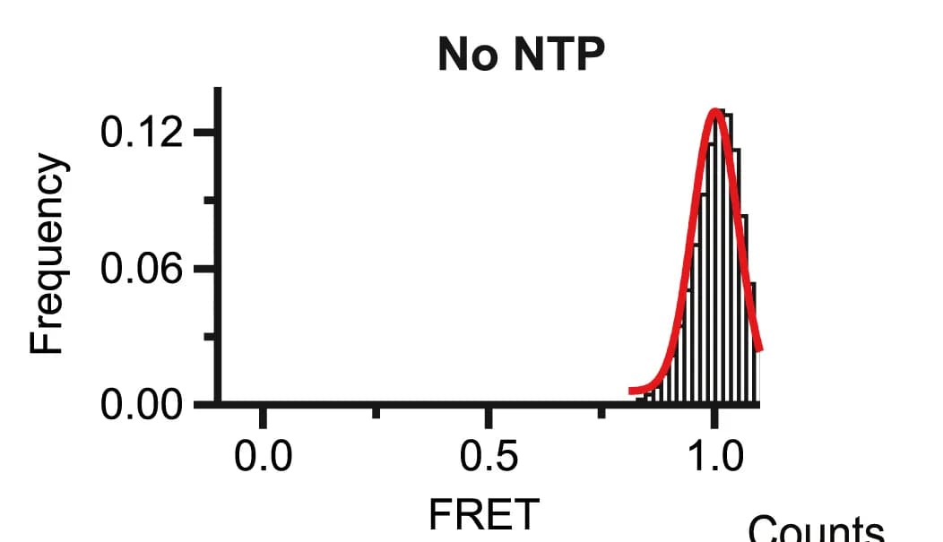 Open access visualization of Histogram, Line Plot, Density Plot, FRET Histogram, NTPs