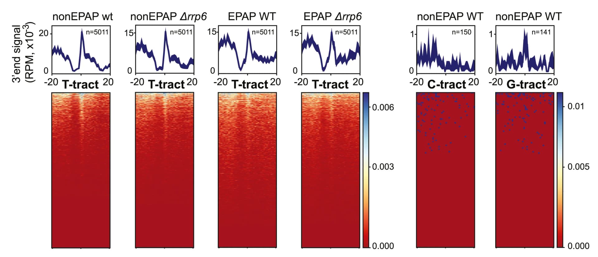 Open access visualization of Heatmap, Line Plot, Metagene profile, 3-end sequencing, T-tracts