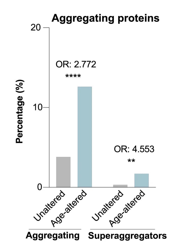 Open access visualization of Bar Plot, Aggregating proteins, Superaggregators, Age-altered proteins, Unaltered proteins