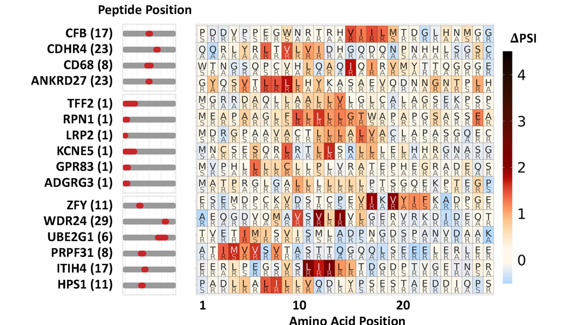 Open access visualization of Bar Plot, Heatmap, Peptides, CRISPR Screens, BAG6