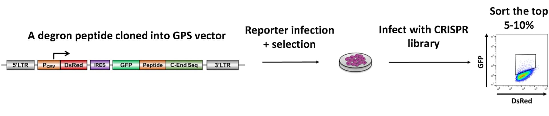 Open access visualization of Workflow, Flowchart, Scatter Plot, Schematic Diagram, CRISPR Screen