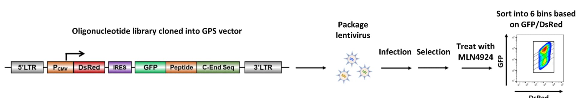 Open access visualization of Workflow, Scatter Plot, GPS-Peptidome, MLN4924