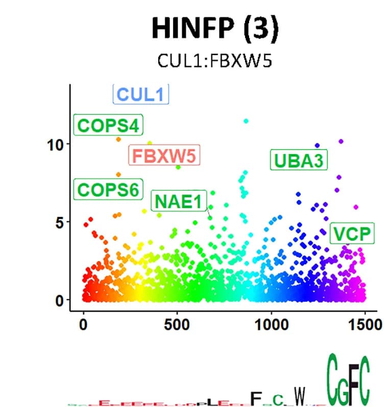 Open access visualization of Scatter Plot, CRISPR Screens, E3 Ligase, Peptide, MAGeCK Scores