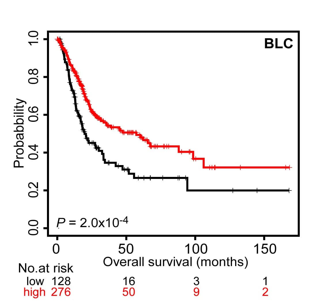 Open access visualization of Survival Curve, Line Step, Kaplan-Meier Plots, Survival Probability, Cancer