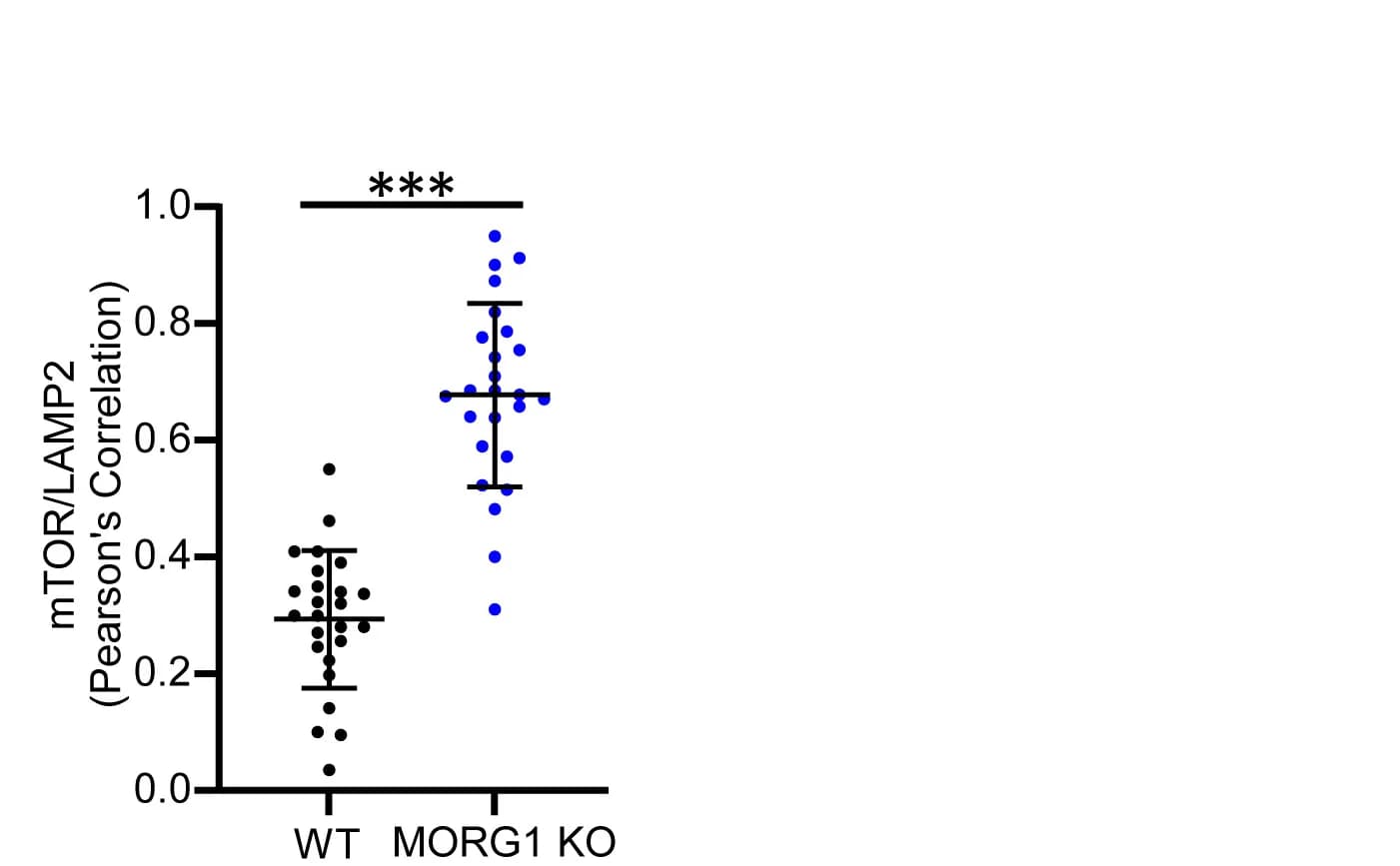 Open access visualization of Scatter Plot, Error Bars, Colocalization, Pearson Correlation Coefficient, Statistical Analysis
