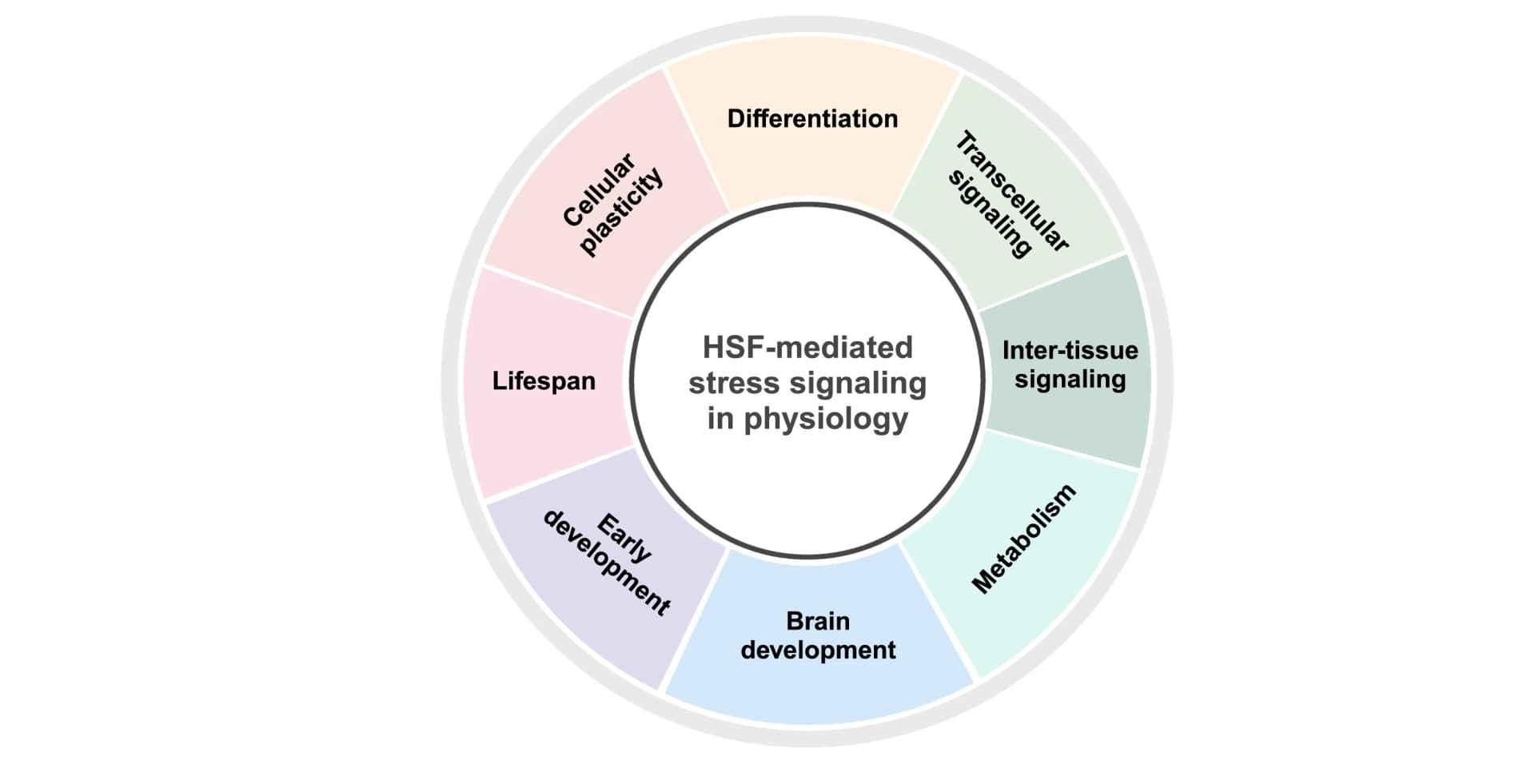 Open access visualization of Pie Chart, HSFs, Stress Signaling, Physiological Processes