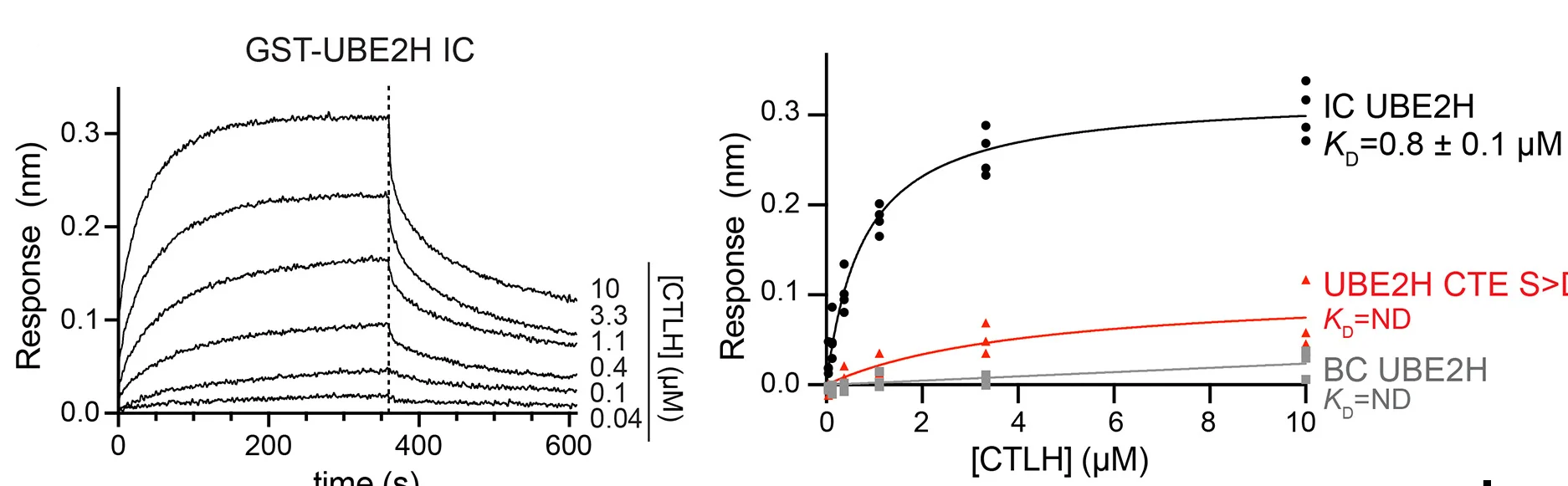 Open access visualization of Line Plot, Scatter Plot, Binding Affinity, UBE2H, CTLH E3