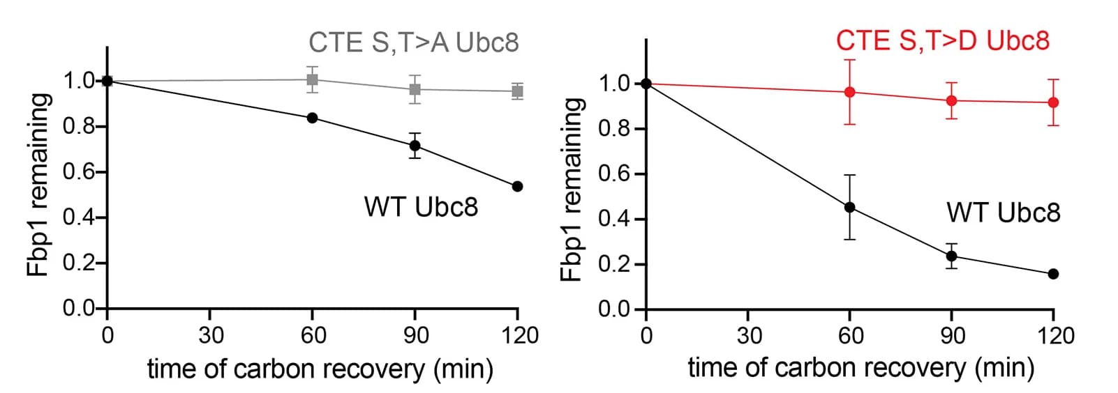 Open access visualization of Line Plot, Error Bars, In Vivo, Glucose-Induced Degradation, Fbp1