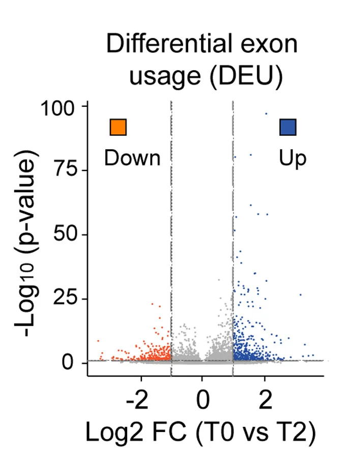 Open access visualization of Scatter Plot, Volcano Plot, DEU Events, Retained Exons, Skipped Exons