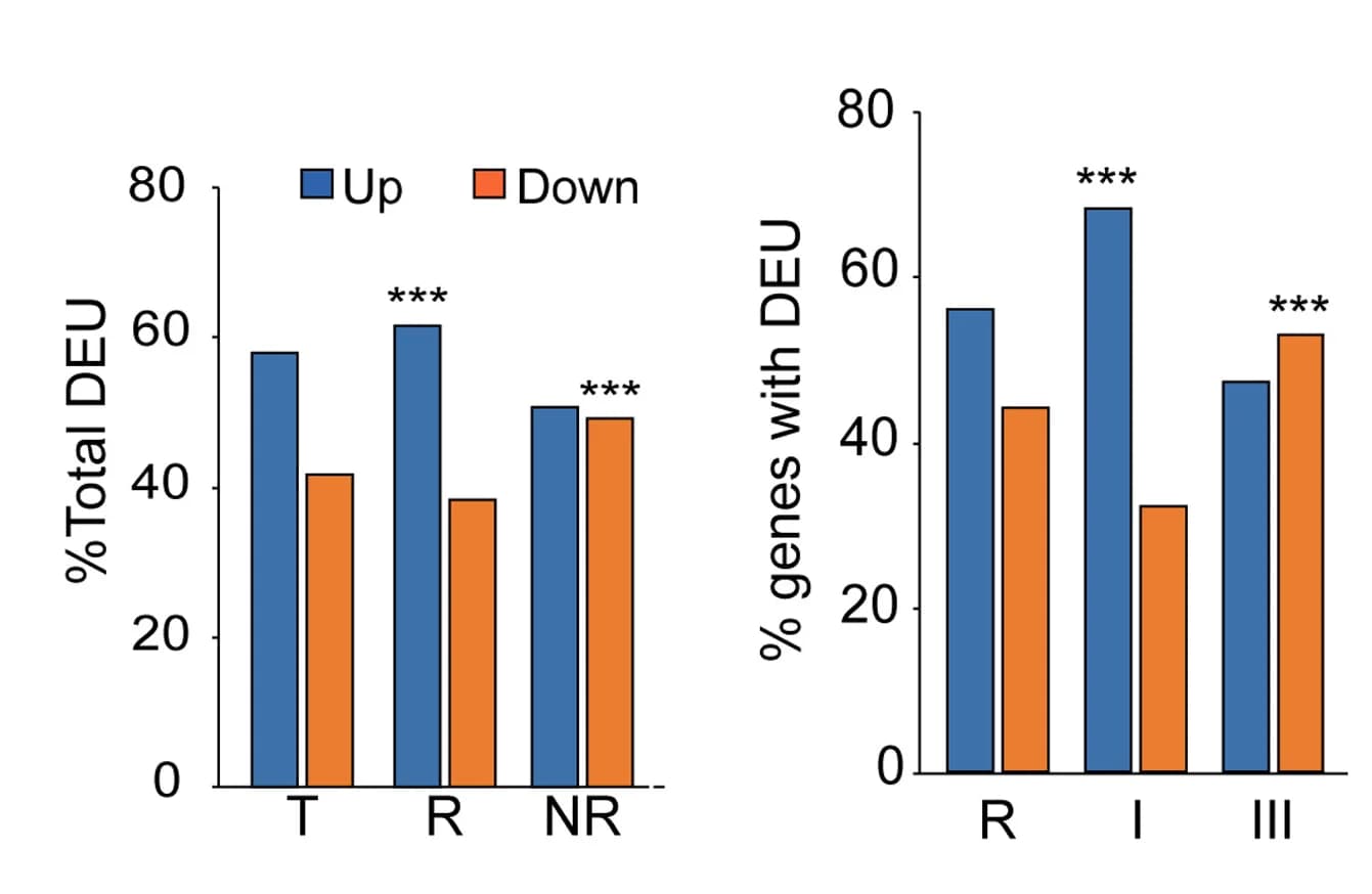 Open access visualization of Bar Plot, Clustered, Class I Gene, Crick Strand, Exon Retention