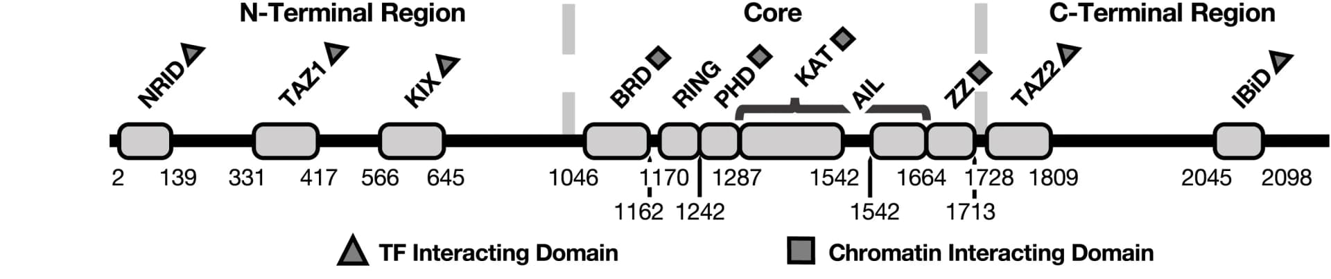 Open access visualization of Illustration, p300, TFIDs, ChIDs, IDRs
