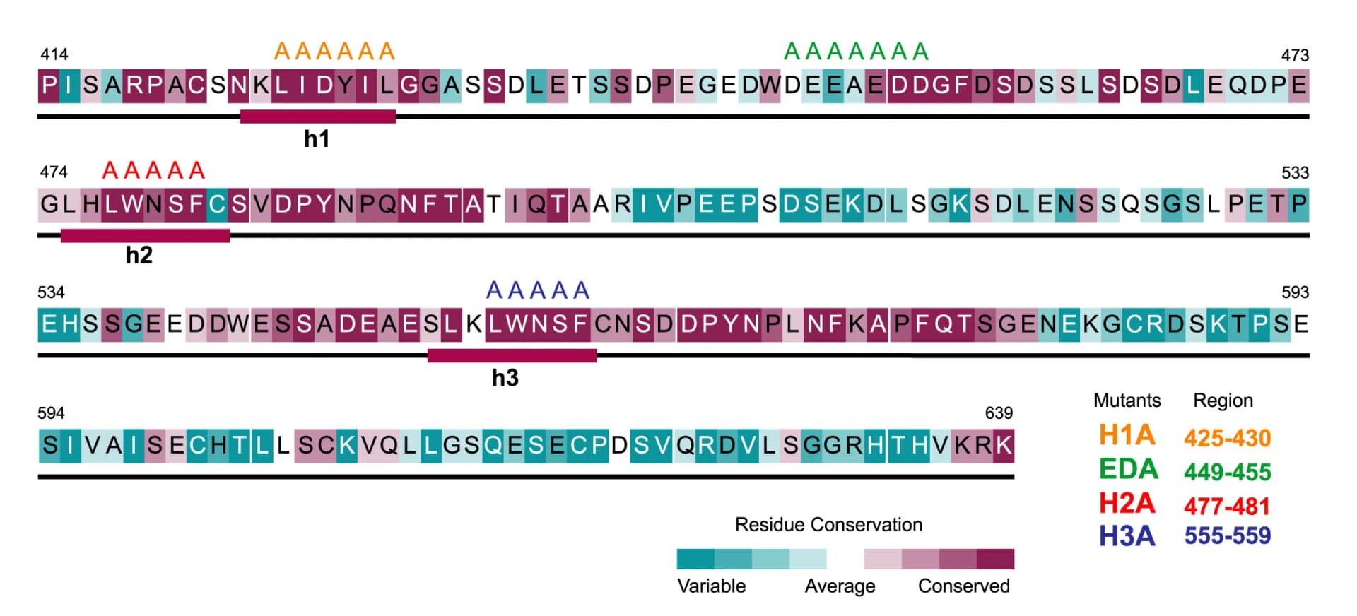 Open access visualization of Illustration, Sequence Conservation, Residues, Secondary Structure, Mutagenesis