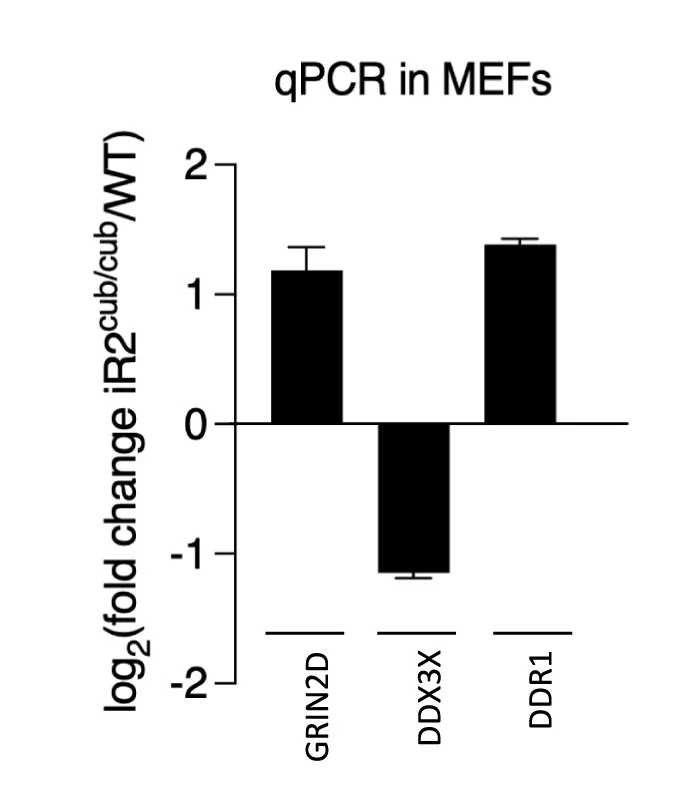 Open access visualization of Bar Plot, Error Bars, Protein Levels, Transcript Levels, Target Genes