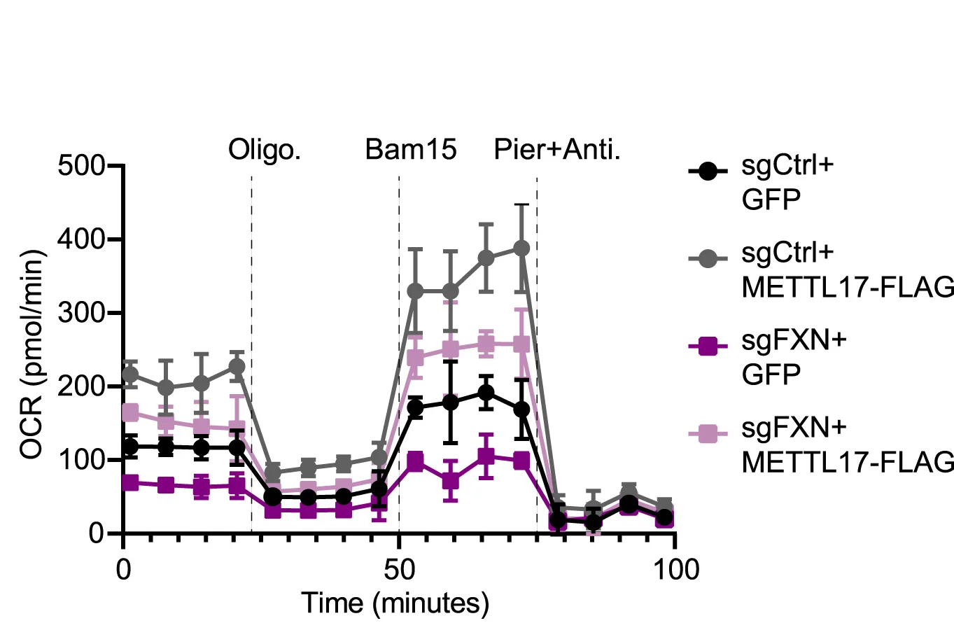 Open access visualization of Line Plot, Error Bars, Oxygen Consumption Rate, OCR, Control Cells