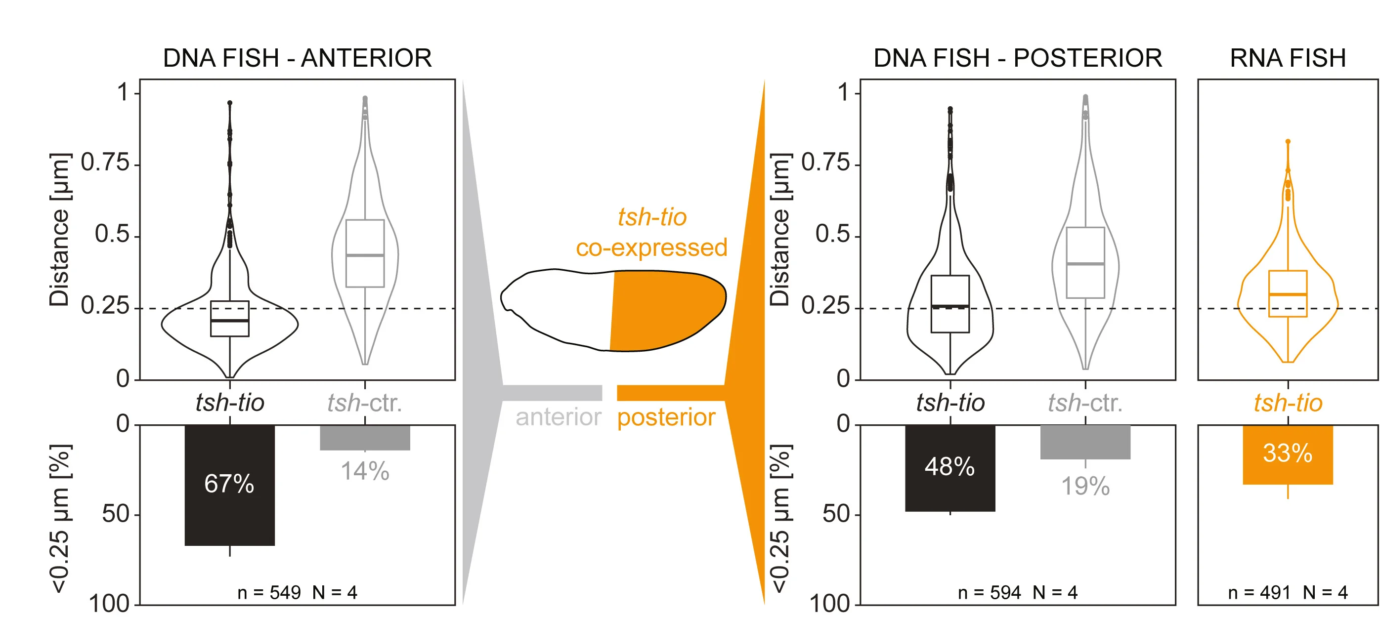 Open access visualization of Violin Plot, Box Plot, Bar Plot, Violin Plots, Box Plots