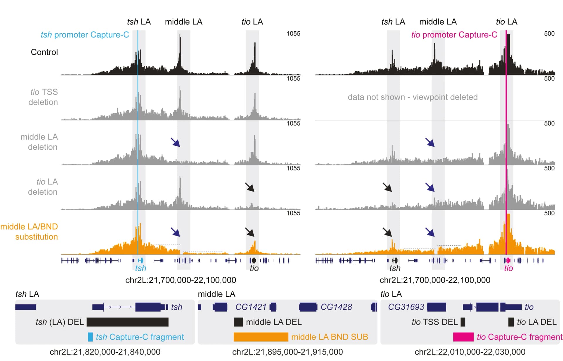 Open access visualization of Line Plot, Capture-C, Embryos, Loop Anchor, Boundary Insertion