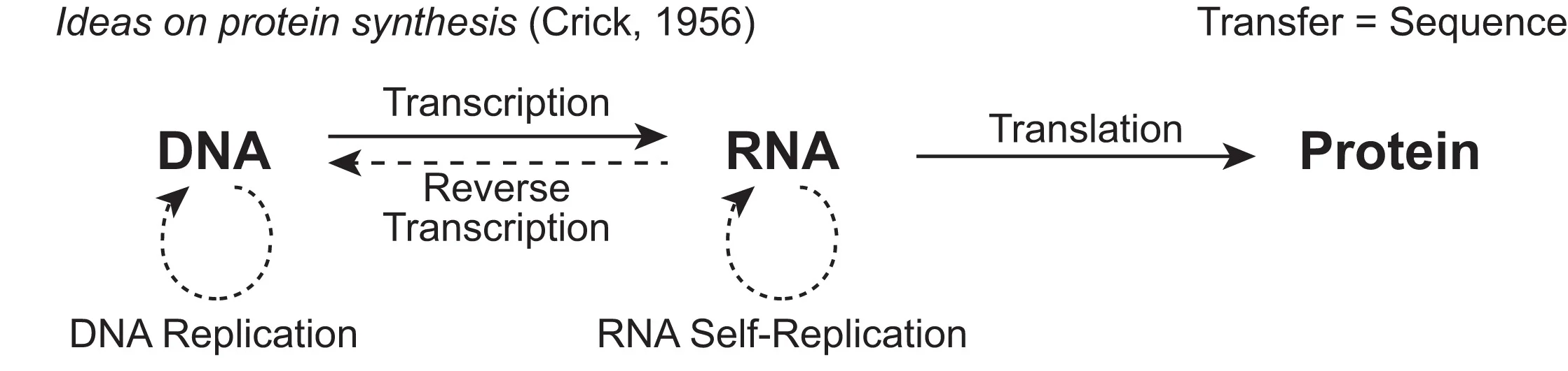 Open access visualization of Workflow, Flowchart, DNA, RNA, Proteins