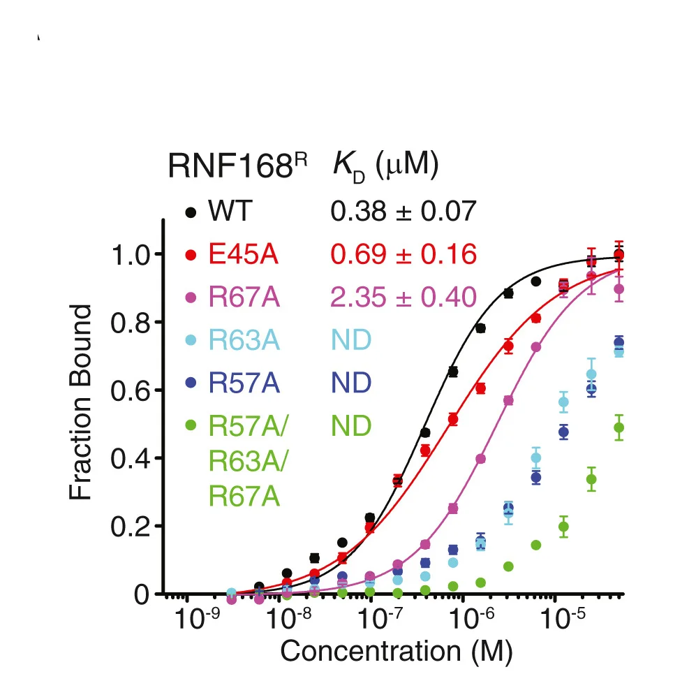 Open access visualization of Line Plot, Error Bars, Fluorescence Polarization, Binding Curves, RNF168R