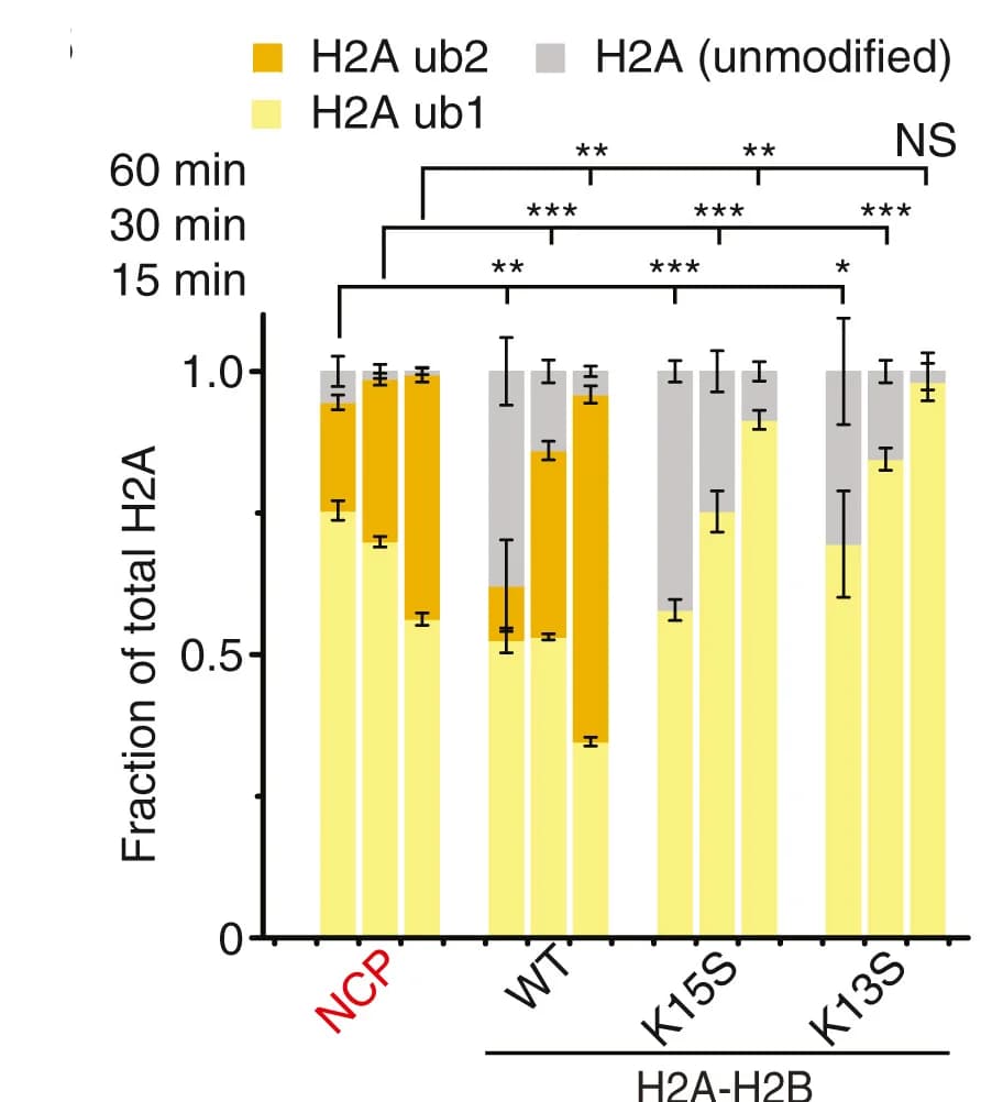 Open access visualization of Stacked Bar Plot, Error Bars, NCP, H2A-H2B, Ubiquitylation