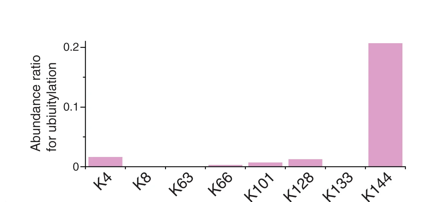 Open access visualization of Bar Plot, Self-Ubiquitylation, UbcH5c, Lysine Residues, Mass Spectrometry