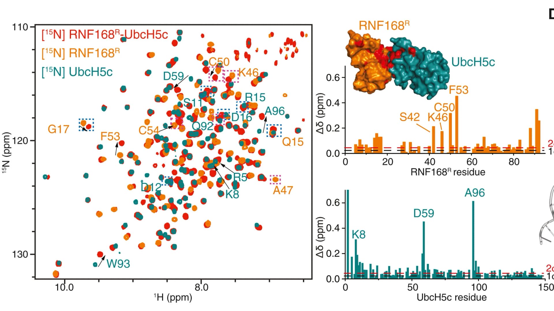Open access visualization of Scatter Plot, Bar Plot, Protein Structure, HSQC Spectra, Chemical Shift