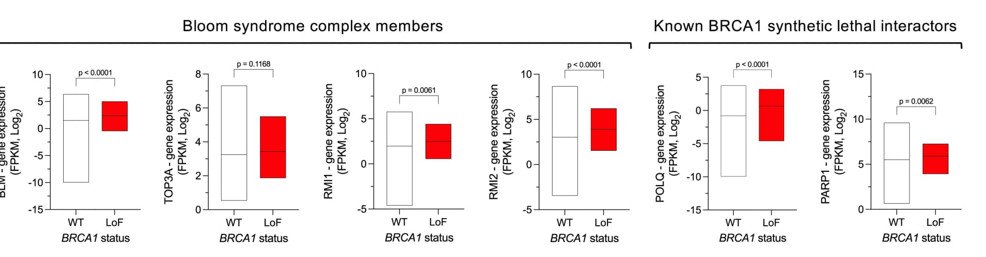 Open access visualization of Bar Plot, Error Bars, TCGA Dataset Analyses, BLM-TOP3A-RMI1-RMI2 Complex, BRCA1-Proficient Tumors