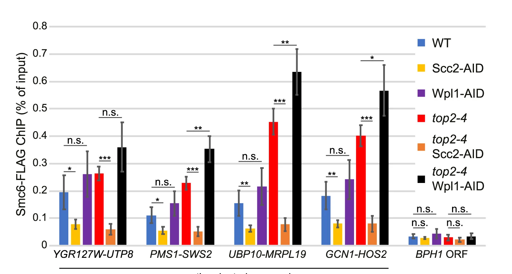 Open access visualization of Bar Plot, Error Bars, Smc6-FLAG Enrichment, Intergenic Regions, Convergent Gene Pairs