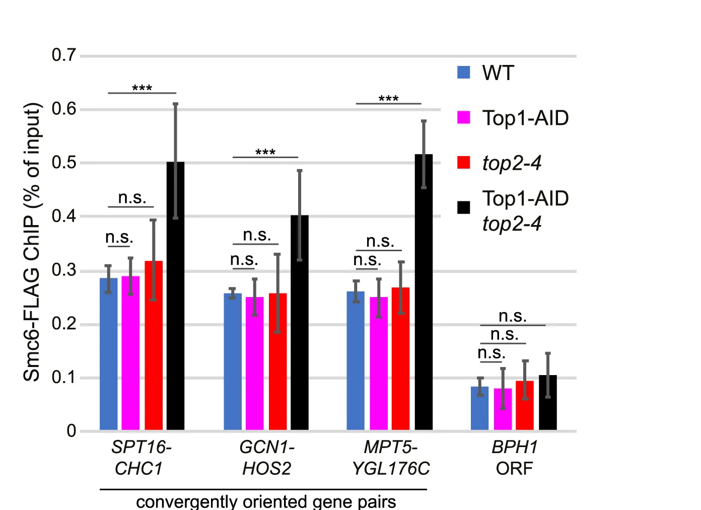 Open access visualization of Bar Plot, Error Bars, Clustered, Smc6-FLAG Enrichment, Intergenic Regions