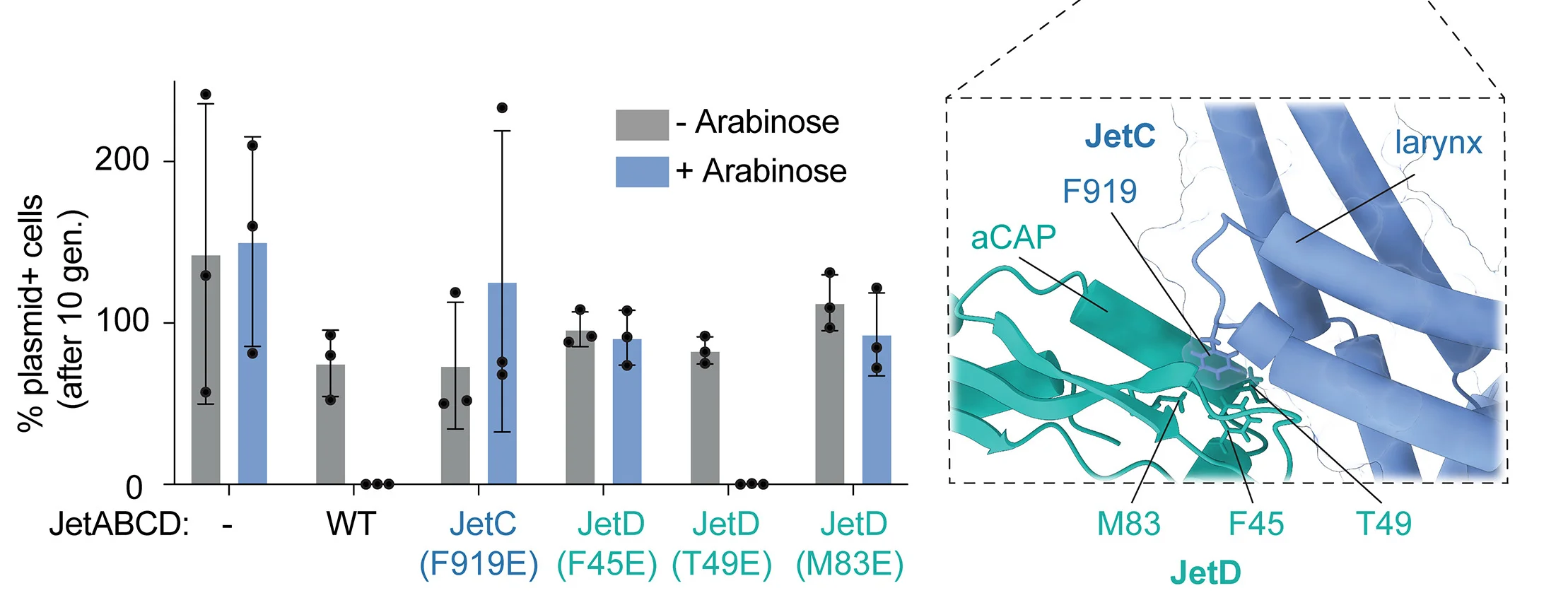 Open access visualization of Bar Plot, Error Bars, 3D Plot, Protein Structure, Plasmid Restriction