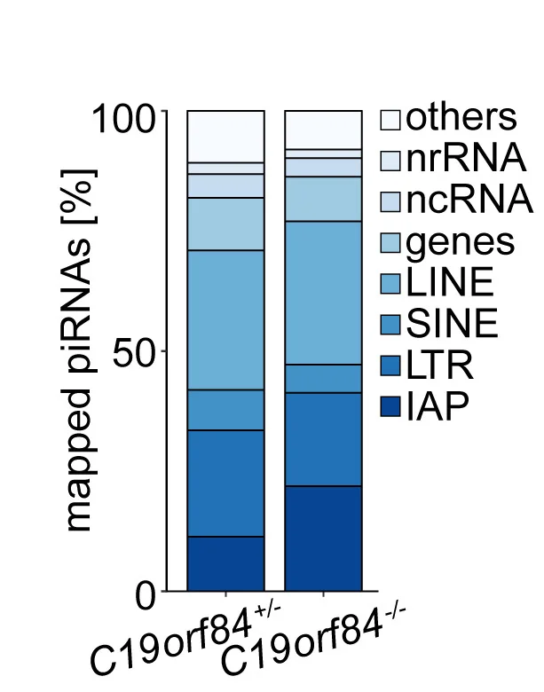 Open access visualization of Stacked Bar Plot, piRNA, Replicates, Targets