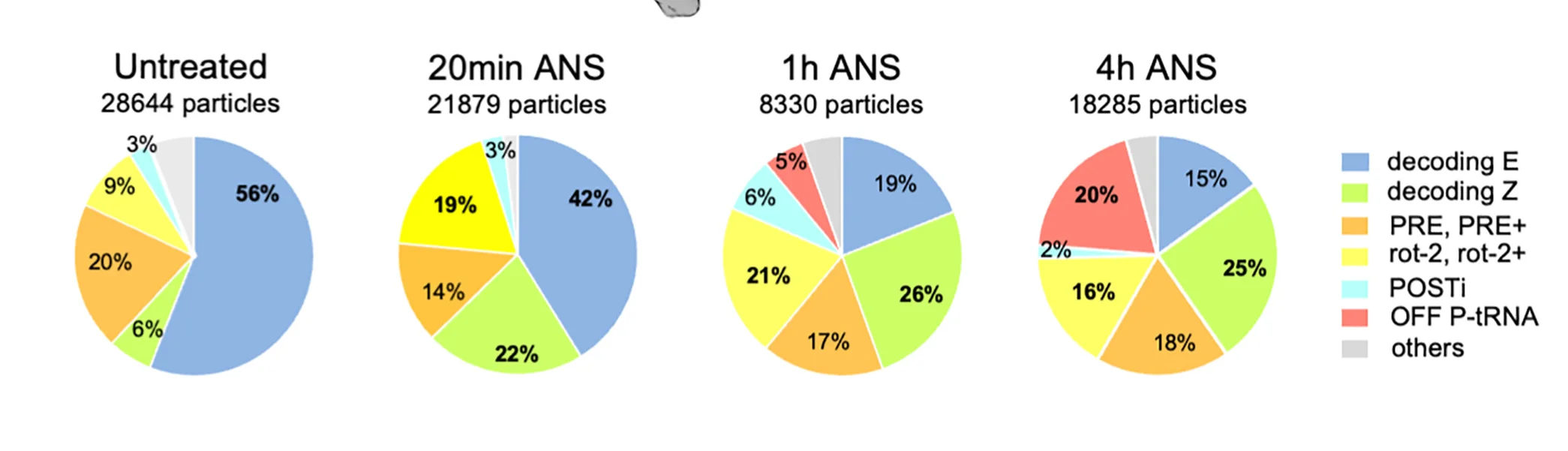 Open access visualization of Pie Chart, Ribosomal Elongation Complexes, Datasets, Relative Abundance