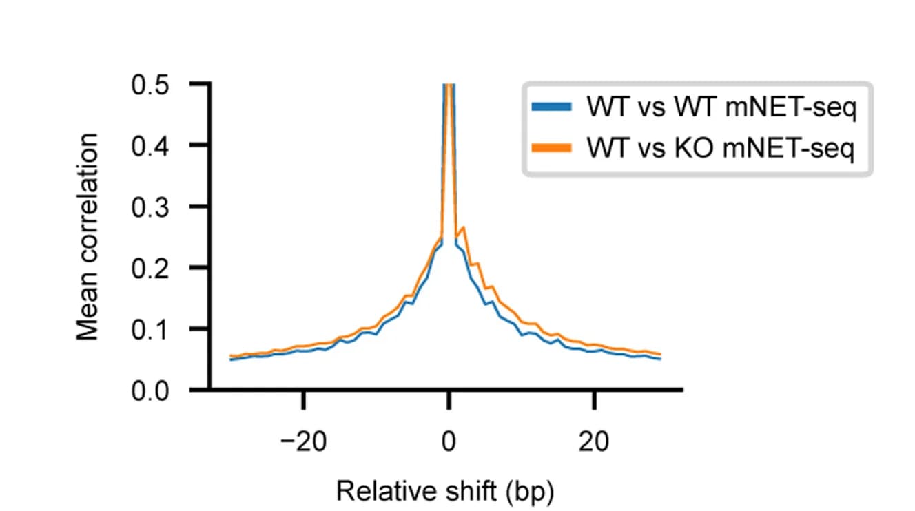 Open access visualization of Line Plot, Cross Correlation, mNET-seq Data, Wild-Type Cells, TFIIS Knockout Cells