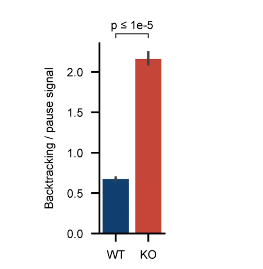 Open access visualization of Bar Plot, Error Bars, LORAX-seq, Pause Signal, Confidence Intervals