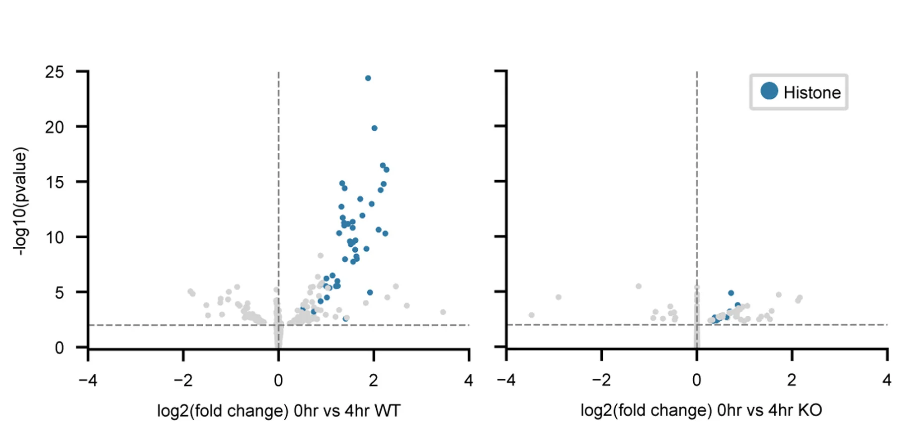 Open access visualization of Volcano Plot, Scatter Plot, Gene Expression Changes, Cell Synchronization, RNA-seq